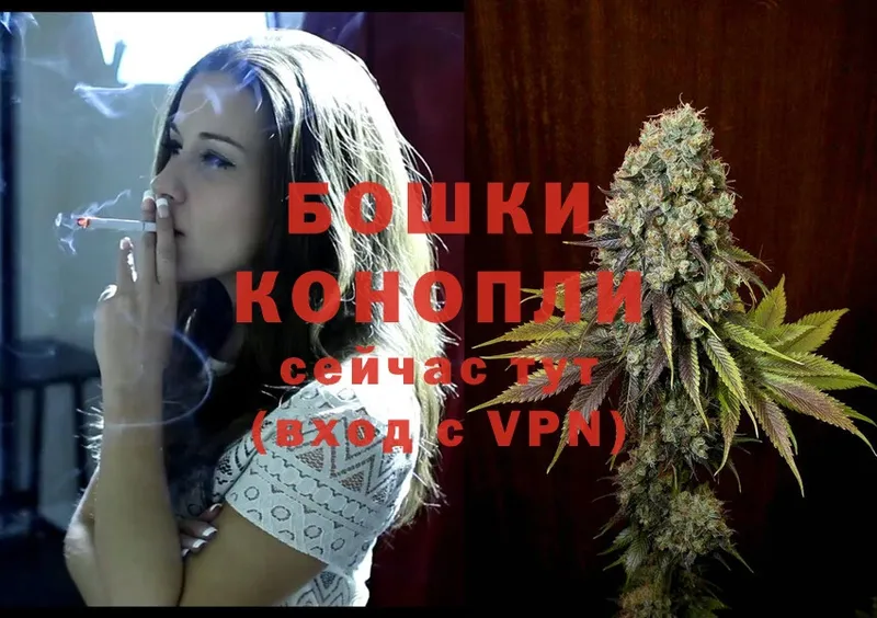 Бошки Шишки Ganja  Тарко-Сале 